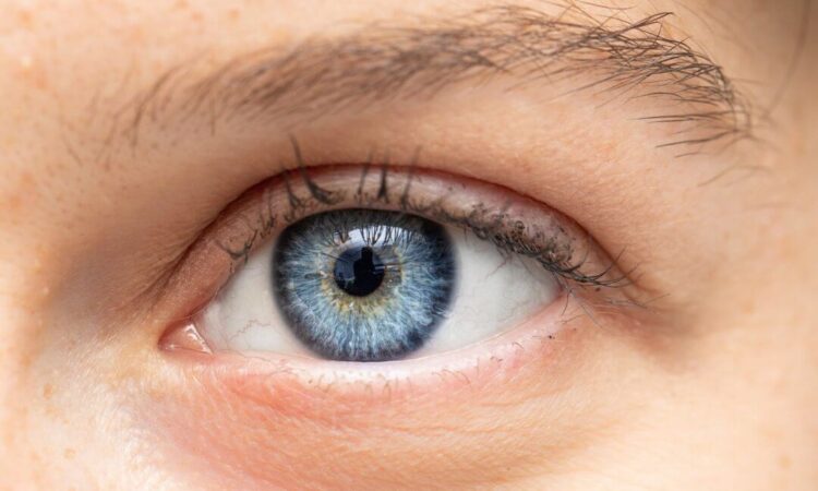 Beyond Progression: How Stem Cell Therapy in India Offers a New Horizon for Retinitis Pigmentosa Patients