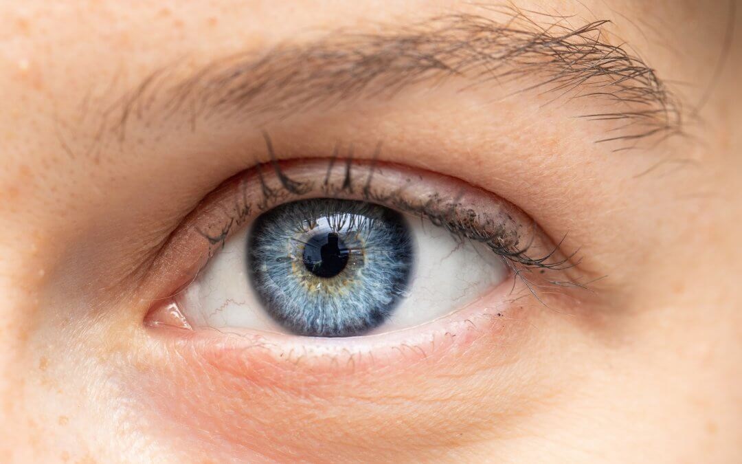 Beyond Progression: How Stem Cell Therapy in India Offers a New Horizon for Retinitis Pigmentosa Patients